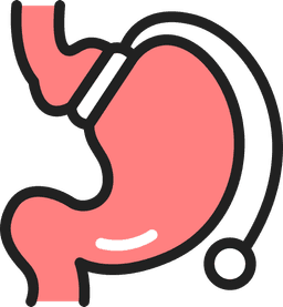 Bariatric Surgery