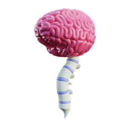 Neurology and Spine