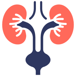 Urology