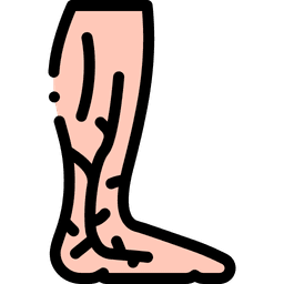 Vascular Surgery