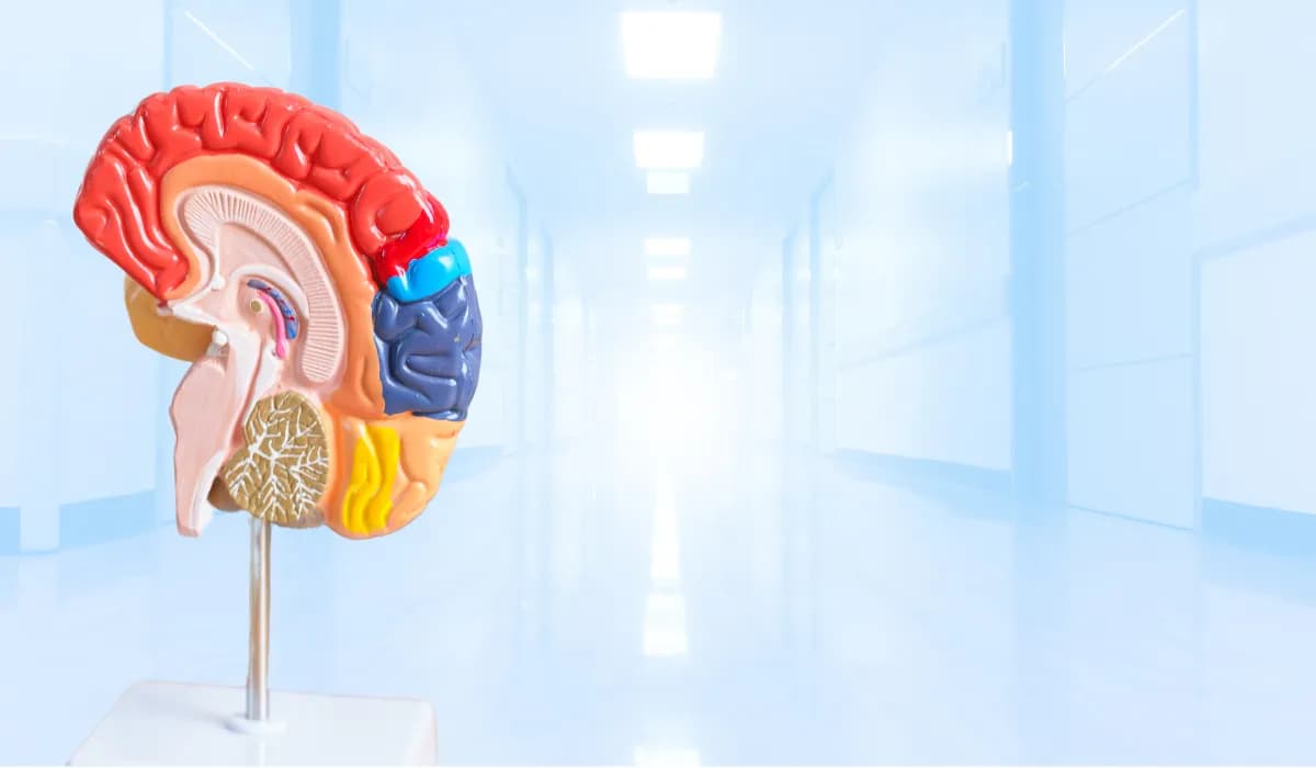 التحفيز العميق للدماغ