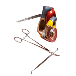 Cryptorchidism (Undescended Testicle) Surgery