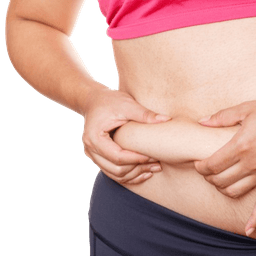 Fat Transfer & Liposculpture