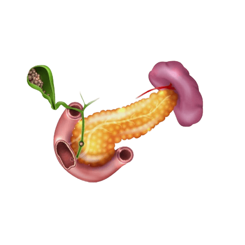 Gallbladder Cancer