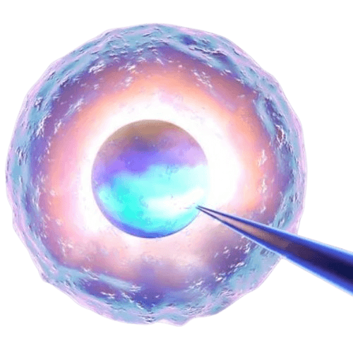 Laser Assisted Hatching Procedure