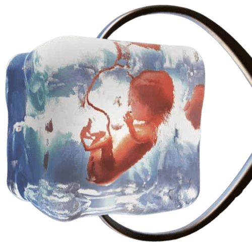 Oocyte Cryopreservation (Egg Freezing)