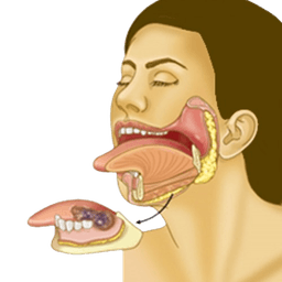 Oral Cancer- Surgical