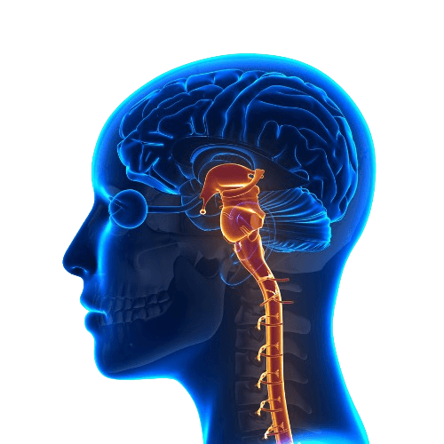 Vagus Nerve Stimulation