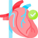 Cardiology