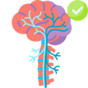 Neurology and Spine