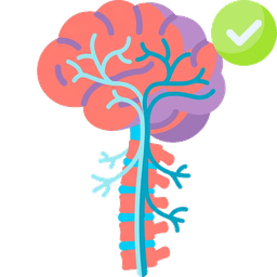 Neurology and Spine