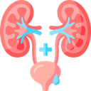 Urology