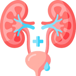 Urology