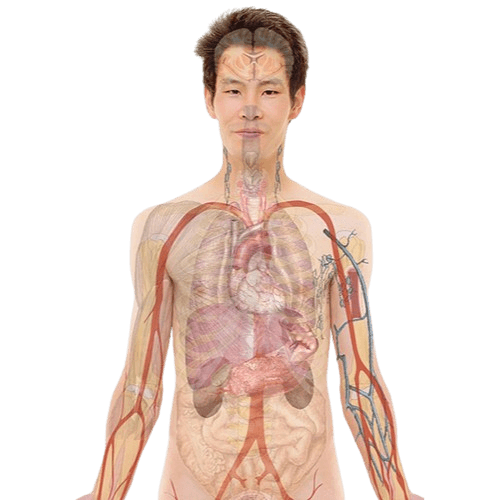 Andrologiya