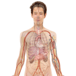 Andrology