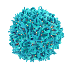 Carcinoma of Unknown Primary-CUP