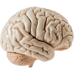 Chronic Cerebro Spinal Venous Insufficiency