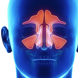 Endoscopic Sinus Surgery