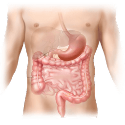Gastrointestinal Stromal Tumor-GIST