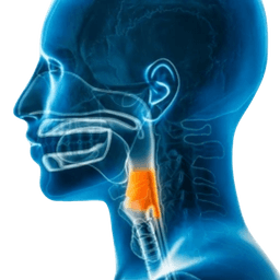 Hypophrayngoscopy