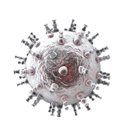 Kaposi Sarcoma