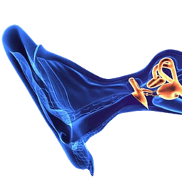 Labyrinthectomy