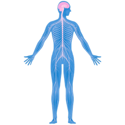 Sensory Ataxia