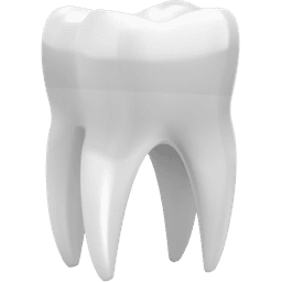 Tooth Bridge