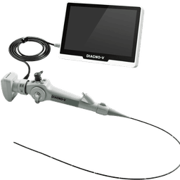 Videoendoscopy