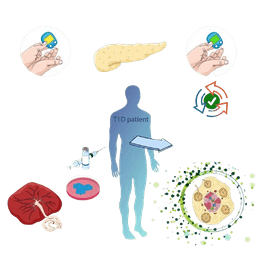 Diabetes Stem Cell Therapy