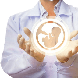 Fertility Preservation And Reproductive Care