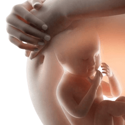 Obstetrics & Gynecology