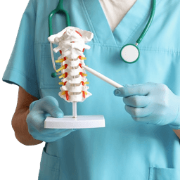 Congenital Spinal Cord Malformations