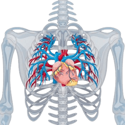 Thoracic Aortic Aneurysm